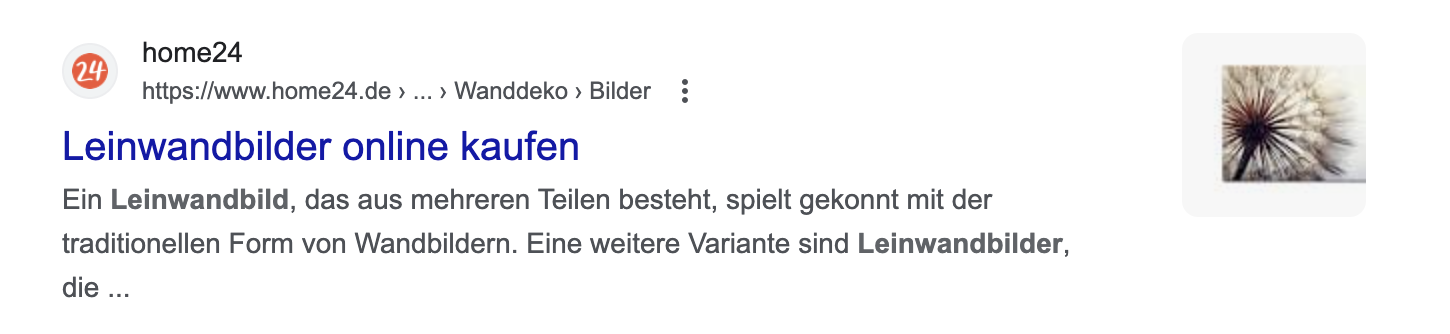Beispiel für ein Einzel-Vorschaubild in Google Suchergebnissen